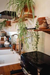 Fotografie z fotogalerie ubytování Le Pré de la Mer Le Gîte v destinaci Urville-Nacqueville + 58 fotografií