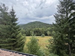 a view of a field with trees and a mountain at Ramoni Apartments in Hochwiese +7 photos