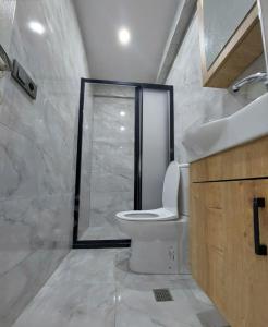 a bathroom with a toilet and a shower and a sink at Sleepy Taksim Hotel in Istanbul