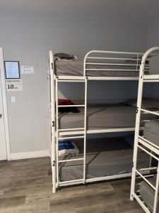 a bunk bed in a room next to a wall at Twin Pineapple Hostel in Los Angeles