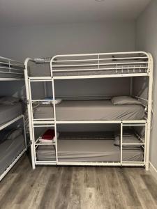 a room with two bunk beds in a room at Twin Pineapple Hostel in Los Angeles +4 photos
