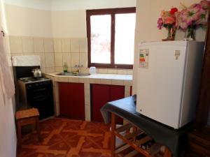 a small kitchen with a refrigerator and a sink at Hostal Salares in Tupiza