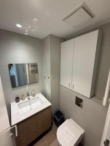 a bathroom with a sink and a toilet at BW Parkview Studio in Belgrade