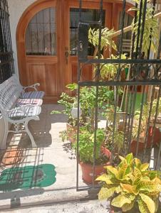 a porch with a bench and potted plants in front of a door at apartaestudio in Cartagena de Indias