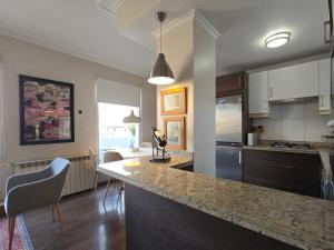 a kitchen with a large counter top in a room at Santiago Centro Bellas Artes Lastarria in Santiago
