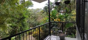 a balcony with a potted plant and a view of trees at Casa Emma Quepos in Quepos