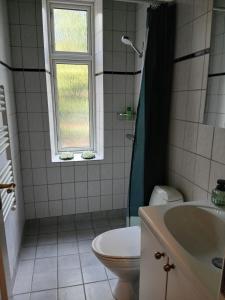 a bathroom with a toilet and a sink and a window at Danmarksgade Green Suites in Aalborg +27 photos