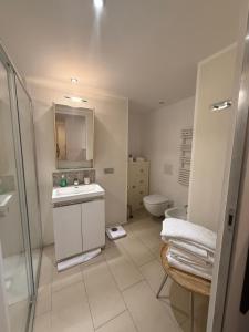 a bathroom with a shower and a sink and a toilet at Maison Marquet in Cap d'Ail