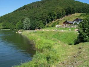 un groupe d'animaux debout sur une colline à côté d'une rivière dans l'établissement Holiday home with 2 bedrooms, à Rieden
