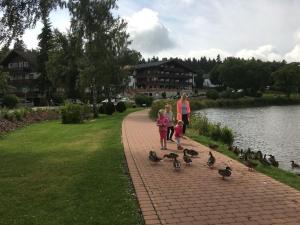 a woman and two children walking down a sidewalk with ducks at Holiday apartment HANNAH Cocksfoot in Hahnenklee-Bockswiese