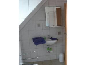 un baño con lavabo y espejo en Holiday home in Waren with swimming pool, en Waren