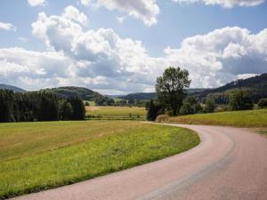 a winding road in the middle of a field at Lakefront Glamping w Pets in Herpelmont