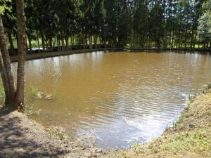 Φωτογραφία από το άλμπουμ του Lakefront Glamping w Pets, cleaning included σε Laveline-devant-Bruyères