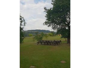 a picnic table in a field with a tree at 2 bedroom cabin in Lütgenade +25 photos