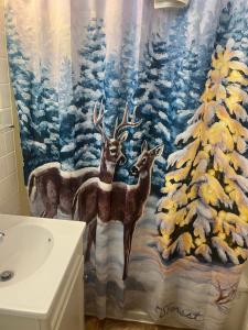 Foto dalla galleria di Royals Inn Motel a Malta