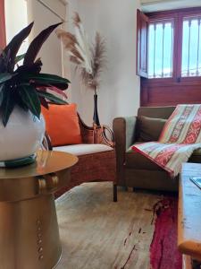 Una sala de estar con un sofá y una planta. en Exclusiva Casa BBQ Parking & Confort, en Villa de Leyva