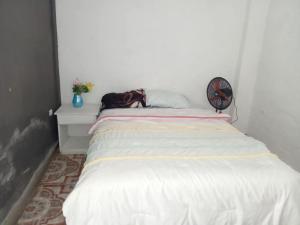 MexicanosにあるHades Metal Barの白いベッド(バックパック付)