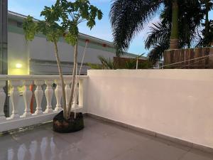 a white fence with a palm tree next to a wall at Sxm Paradise Town House in Marigot +1 photo