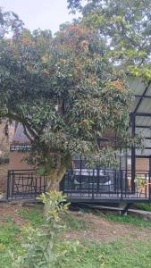 Afbeelding uit fotogalerij van Glamping REFUGIO Guadalajara Glamping in Moniquirá