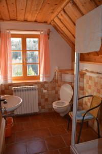 a bathroom with a toilet and a sink and a window at Chalupa Ambra in Prachatice