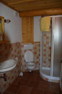 a bathroom with a toilet and a sink at Chalupa Ambra in Prachatice