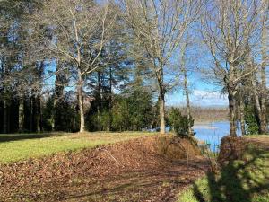 a park with trees and a body of water at Gate House Santuario in Valdivia
