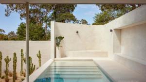 a house with a swimming pool and a cactus at Escape to Summer, Bilgola Plateau IH Luxe in Bilgola