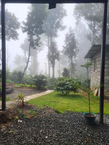 Zahrada ubytování Kodai Glamping Woods + 2 fotografie
