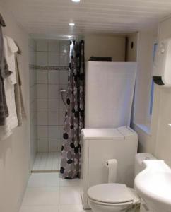 a white bathroom with a toilet and a shower at Gite du Marché d'Elsa in Kilstett