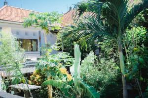 a garden with palm trees and a house at Uma Taman House in Ubud