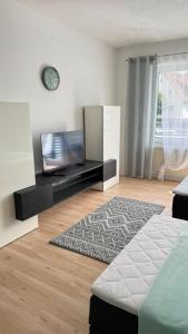 TV a/nebo společenská místnost v ubytování Apartment Studio 54