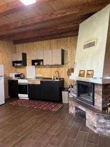 a large kitchen with a fireplace in a room at Заворіття in Sheshory