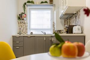 Kuchyň nebo kuchyňský kout v ubytování Ella Apartament Avantgarden-Free private parking + 4 fotografie
