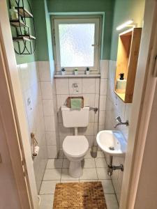a small bathroom with a toilet and a sink at Himmelsnest in Bad Wildbad +32 photos