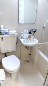a bathroom with a toilet and a sink and a mirror at Kokusaigakusya Ozukikaikan - Vacation STAY 17326 in Hadano