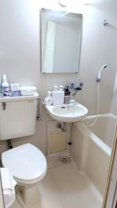 a bathroom with a toilet and a sink and a mirror at Kokusaigakusya Ozukikaikan - Vacation STAY 17510 in Hadano