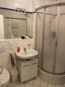 a bathroom with a sink and a shower at Helle Wohnung am Waldpark in Dresden +12 photos
