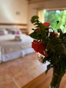 Fotografie z fotogalerie ubytování Hotel O'Hiro Rapa Nui v destinaci Hanga Roa