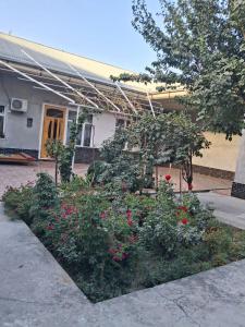 a garden in front of a house with flowers at Adashboy Palace Family Guest House in Samarkand