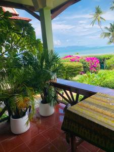 Nathon BayにあるSerenity Beachfront Bungalow Ko Samuiの鉢植え2本とベンチ付き玄関