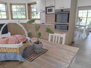 a kitchen with a table with a potted plant on it at Bunya 2-Bedroom at On Burgum Pond Cottages in Maleny