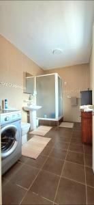 弗利康弗拉克Beautiful one bedroom apartment - Les Lauriers的配有洗衣机和水槽的浴室