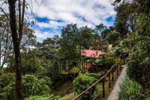 Gallery image of Paraíso Quetzal Lodge in Tres de Junio