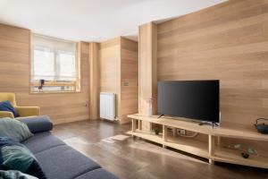 a living room with a flat screen tv on a wooden wall at Vitoria-Gasteiz magnífica casa in Vitoria-Gasteiz