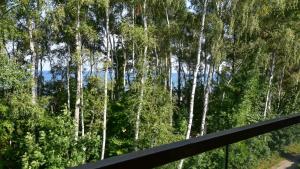 a view of a group of trees from a balcony at VacationClub - Siedem Wysp Apartament 31 in Sianozety