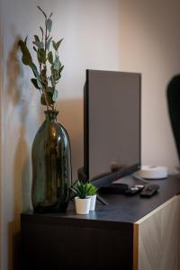 a vase with a plant in front of a tv at Ceylan bel F2 à Rouen in Rouen