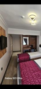 una camera d'albergo con due letti e una TV a schermo piatto di Hatay Hotel a Istanbul