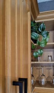 a cabinet with a potted plant in it at Altrove Leukerbad in Leukerbad +33 photos