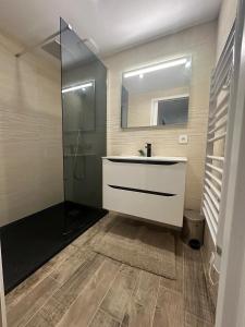 ein Badezimmer mit Waschbecken und Dusche in der Unterkunft Appartement proche de la rivière et de la plage ! in Vico