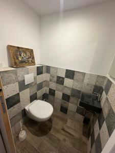 ein Bad mit einem WC und einer Fliesenwand in der Unterkunft Appartement proche de la rivière et de la plage ! in Vico + 6 Fotos